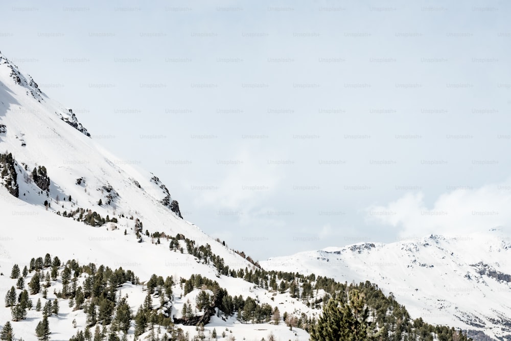 a snow covered mountain with trees on the side