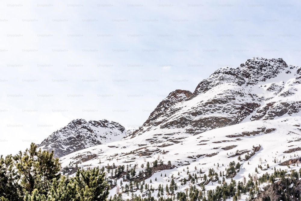 a mountain covered in snow with trees in the foreground