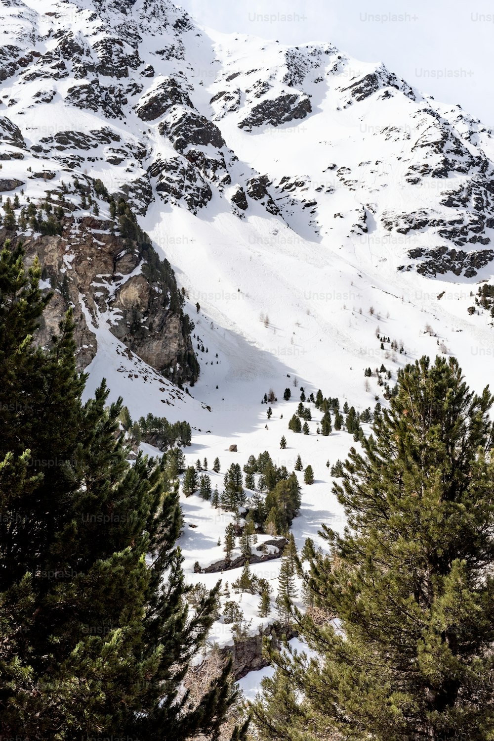 a snow covered mountain with trees in the foreground