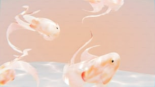 um grupo de peixes nadando em uma piscina de água