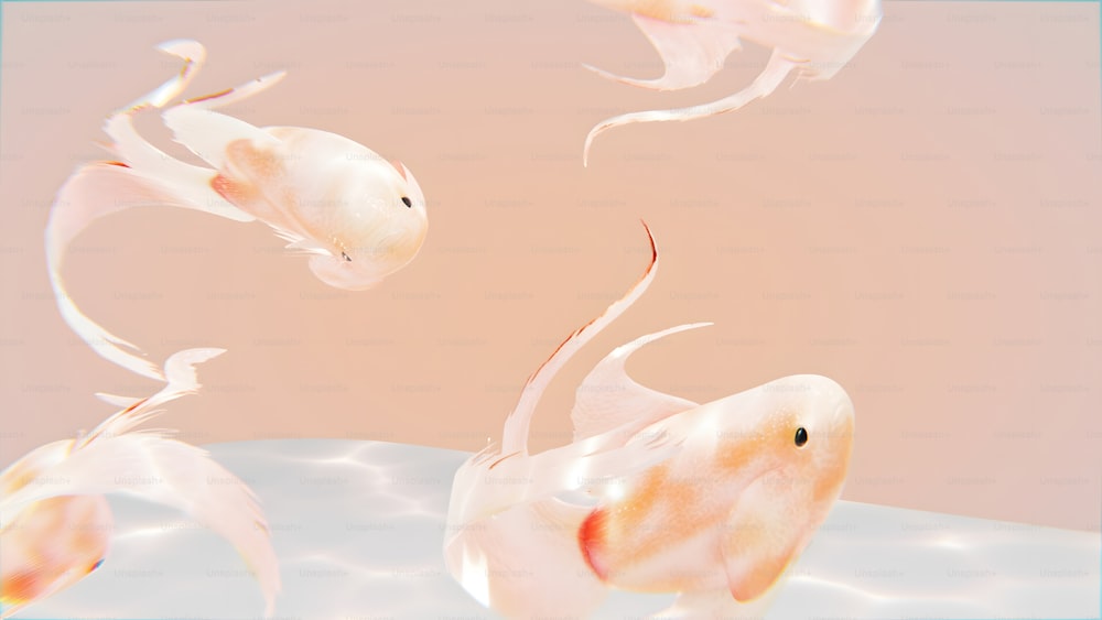 Eine Gruppe von Fischen, die in einem Wasserbecken schwimmen