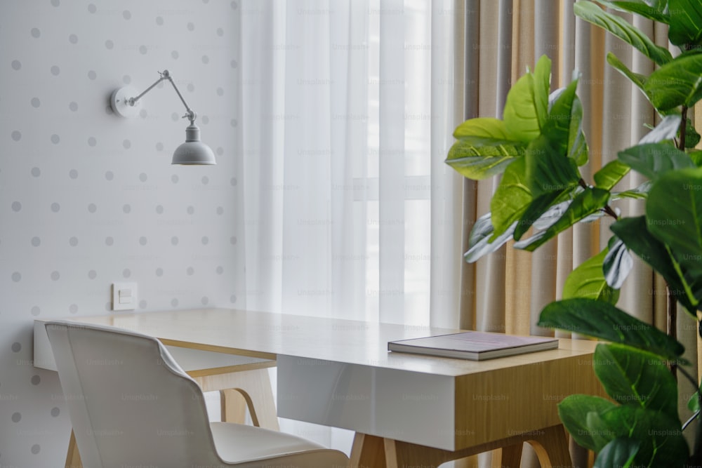 una habitación con escritorio, silla y una planta en maceta