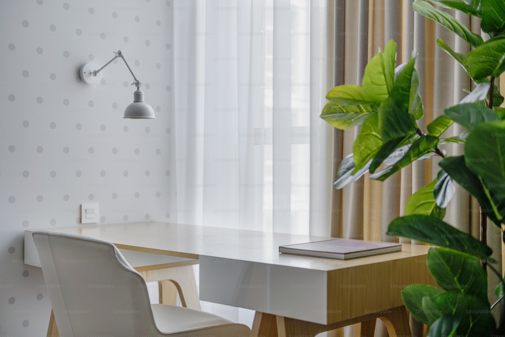 a room with a desk, chair and a potted plant