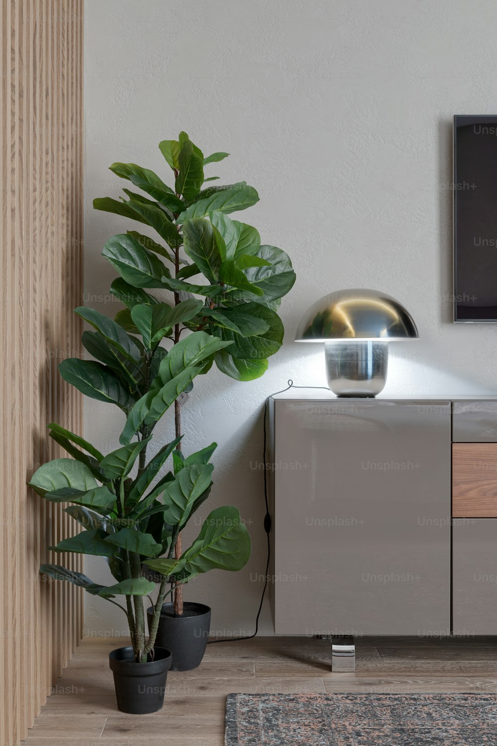 a living room with a plant and a television