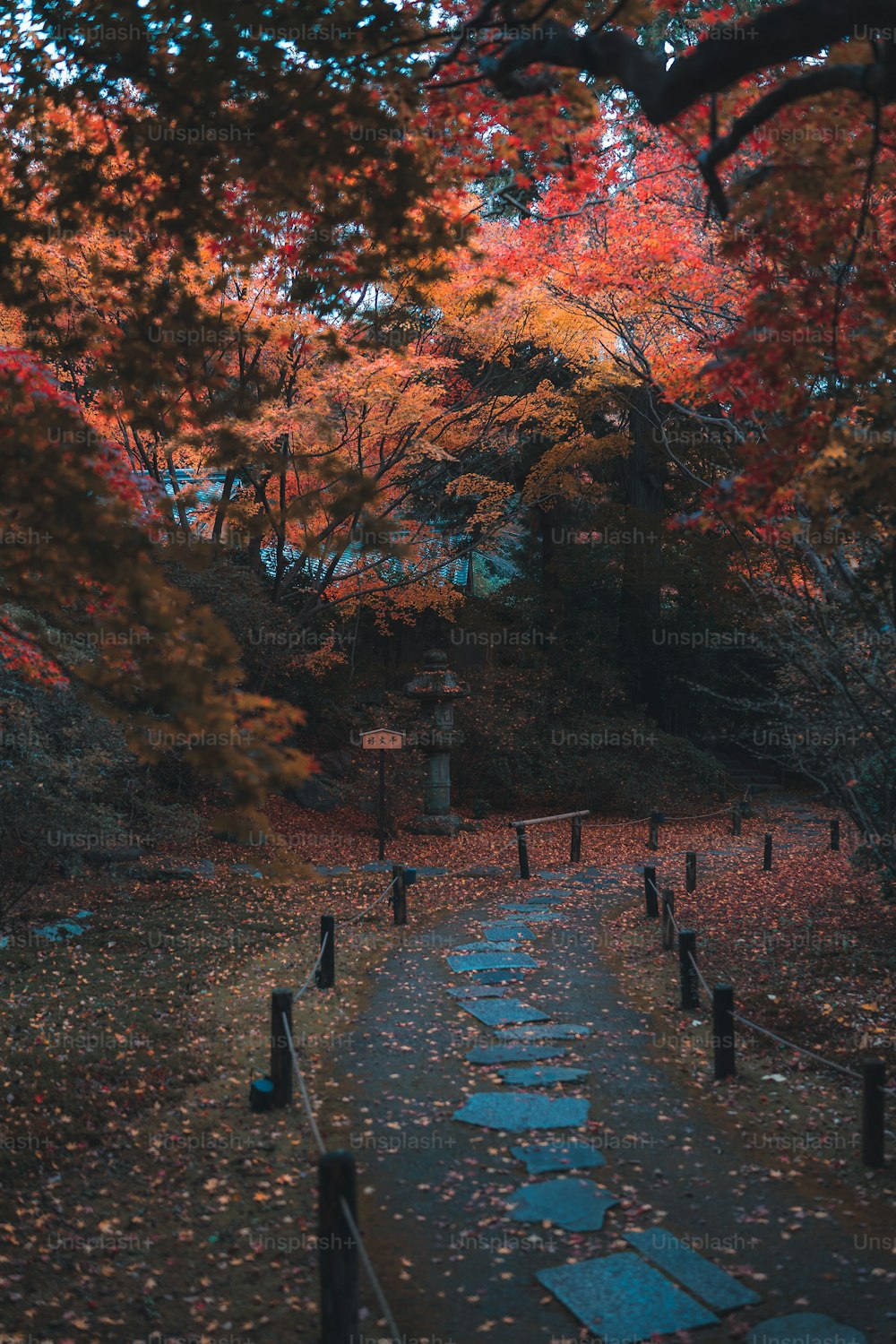 a path in the middle of a wooded area