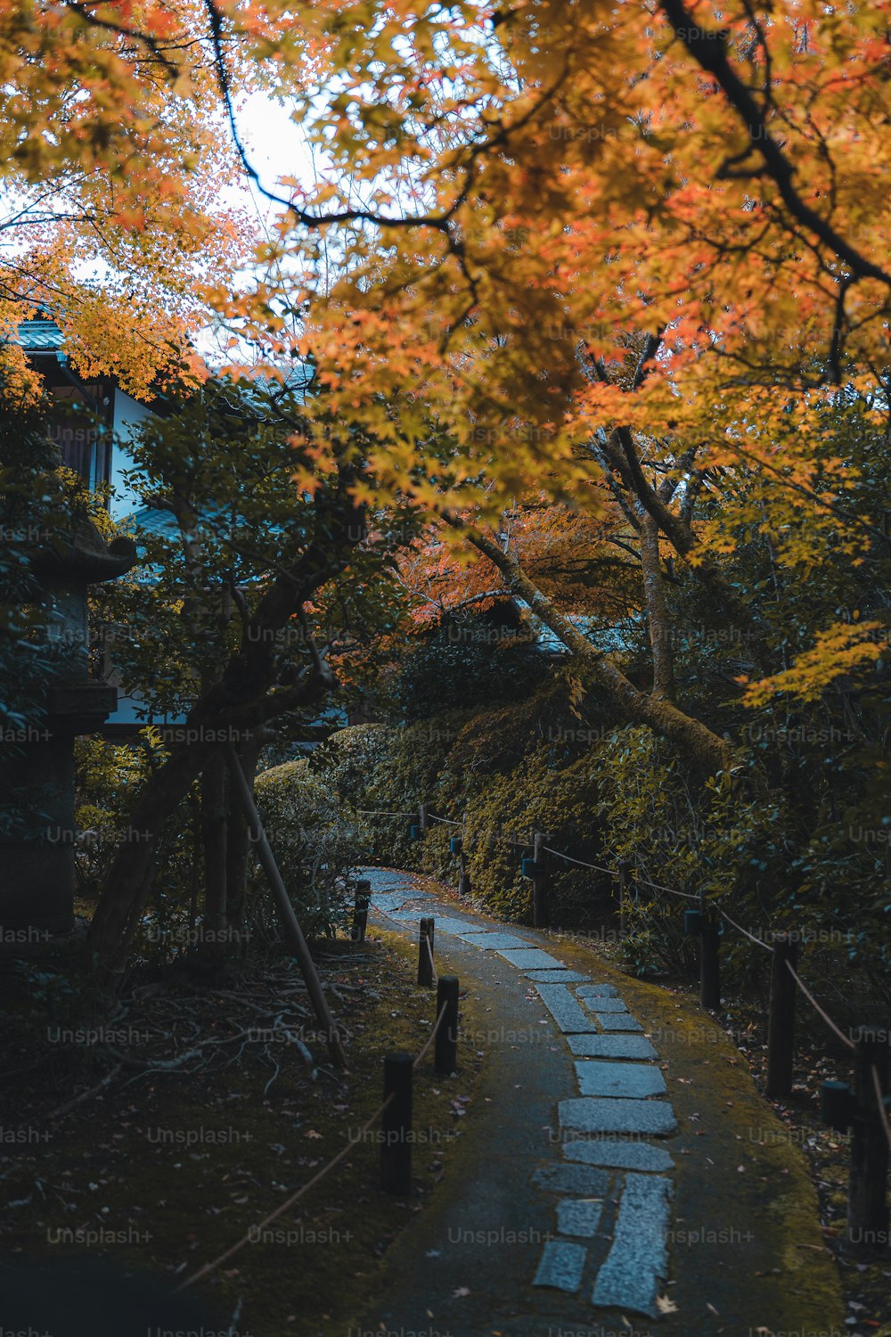 Ein Weg inmitten eines von Bäumen umgebenen Parks