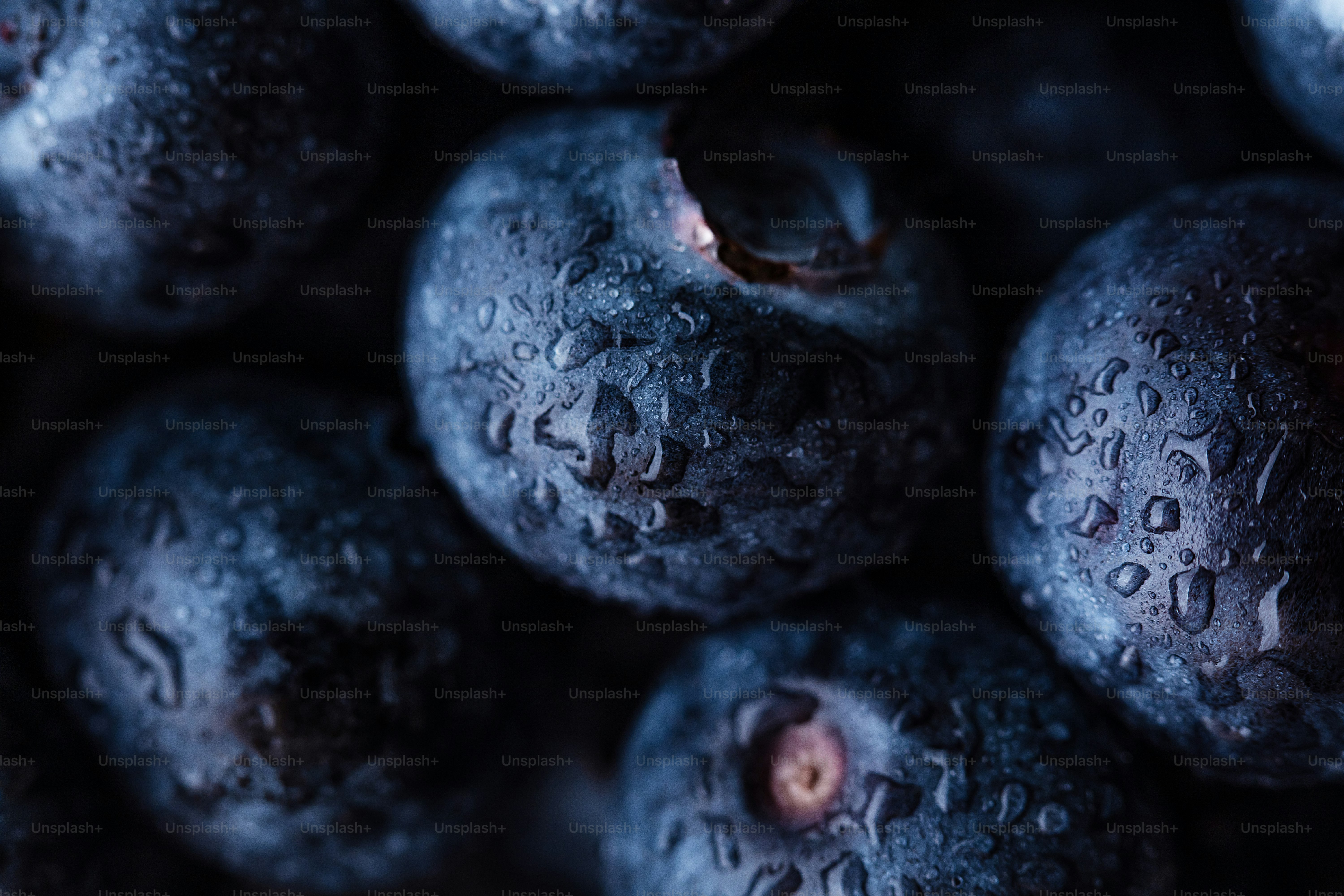 水滴が乗ったブルーベリーの山