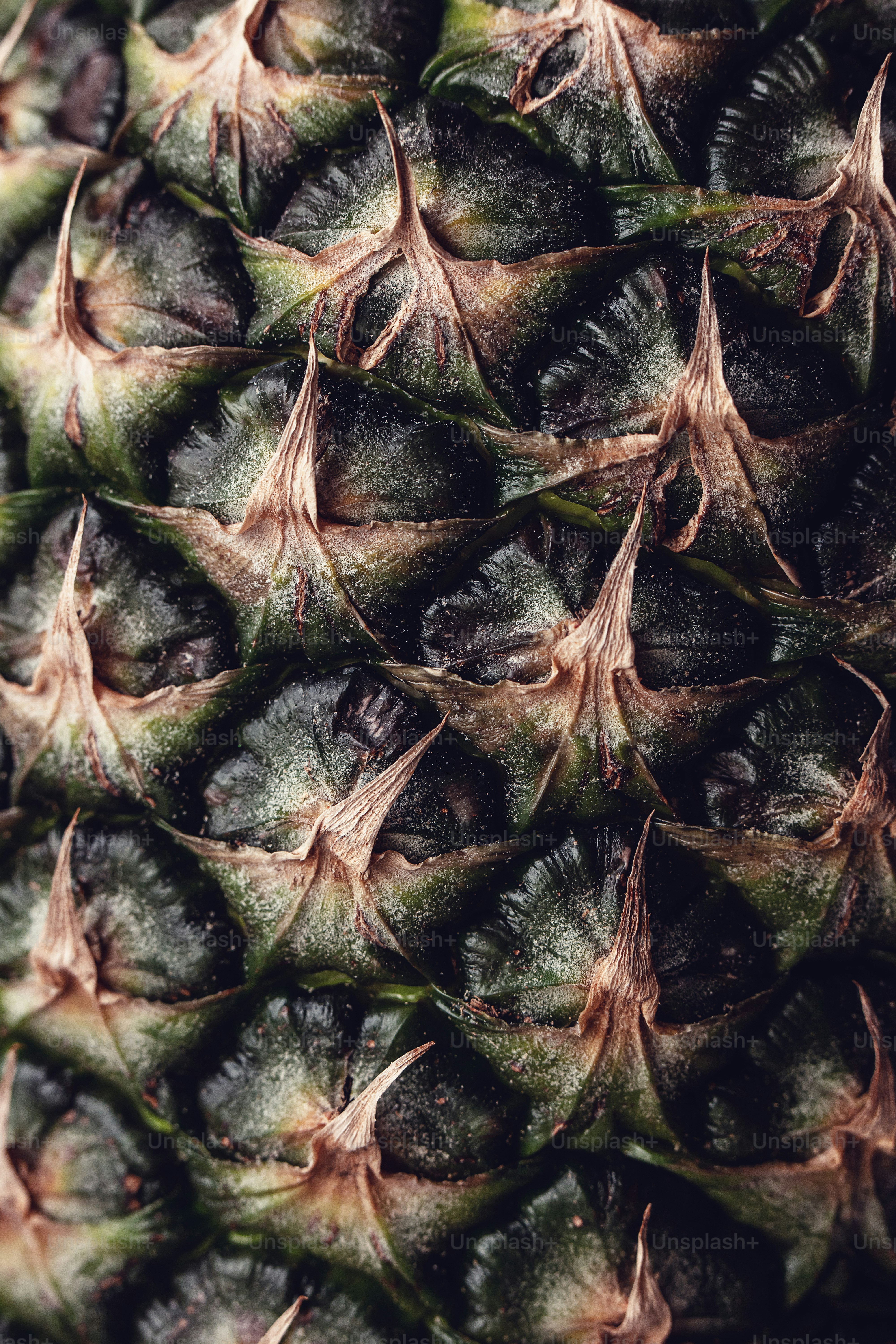 a close up of a pineapple fruit