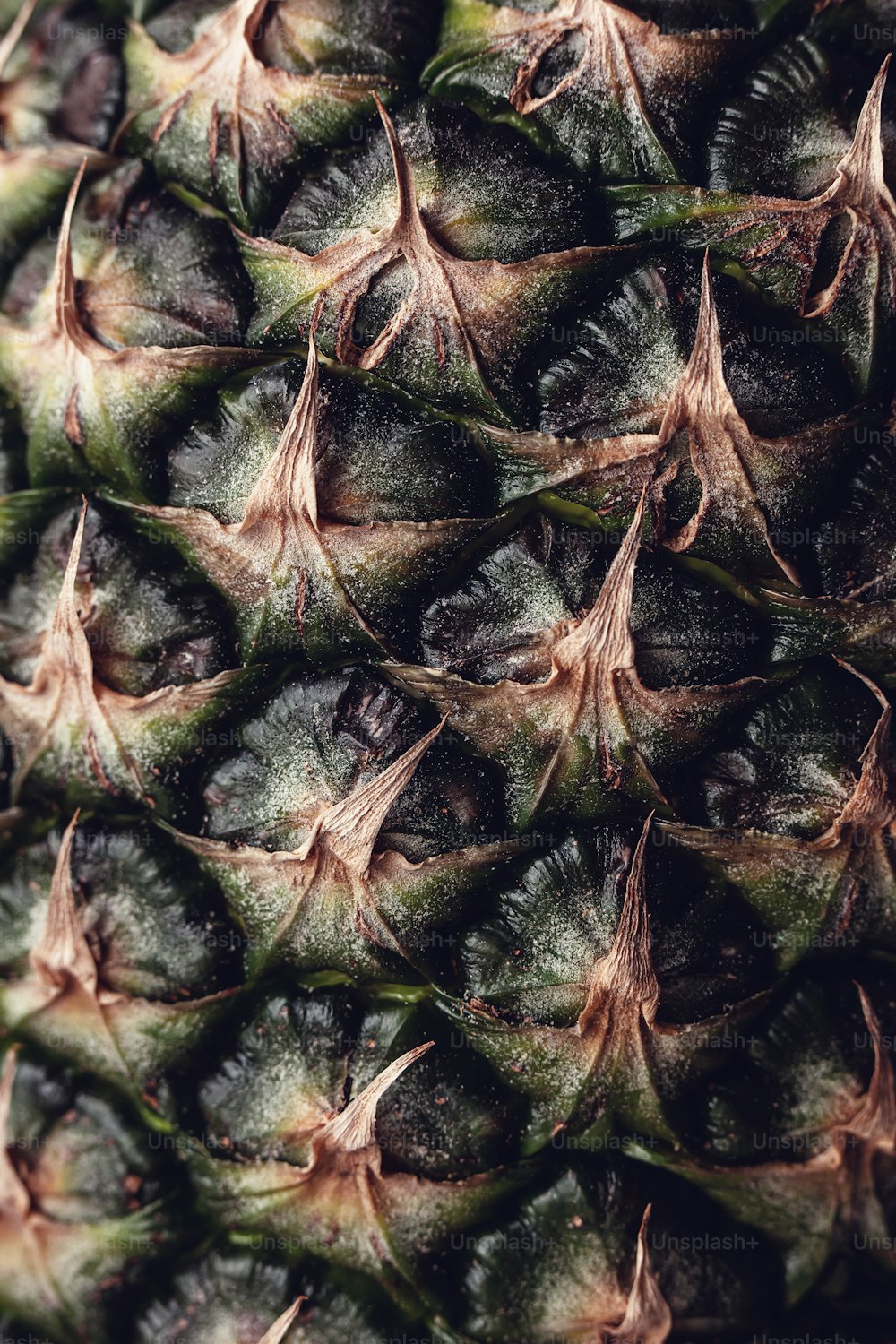 um close up de uma fruta de abacaxi