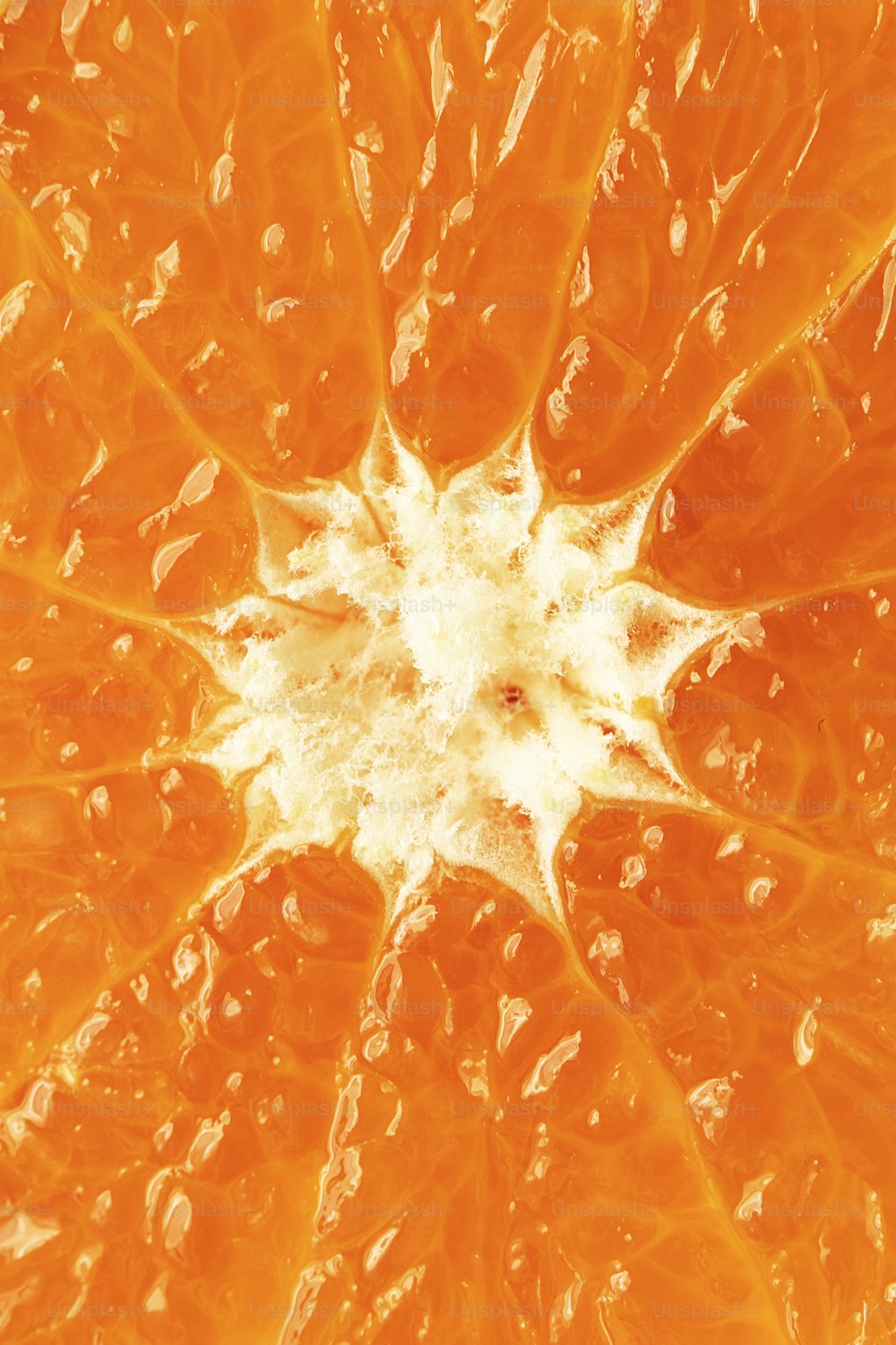 a close up of an orange with drops of water on it