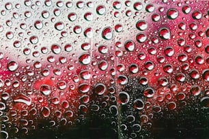 a close up of water droplets on a window