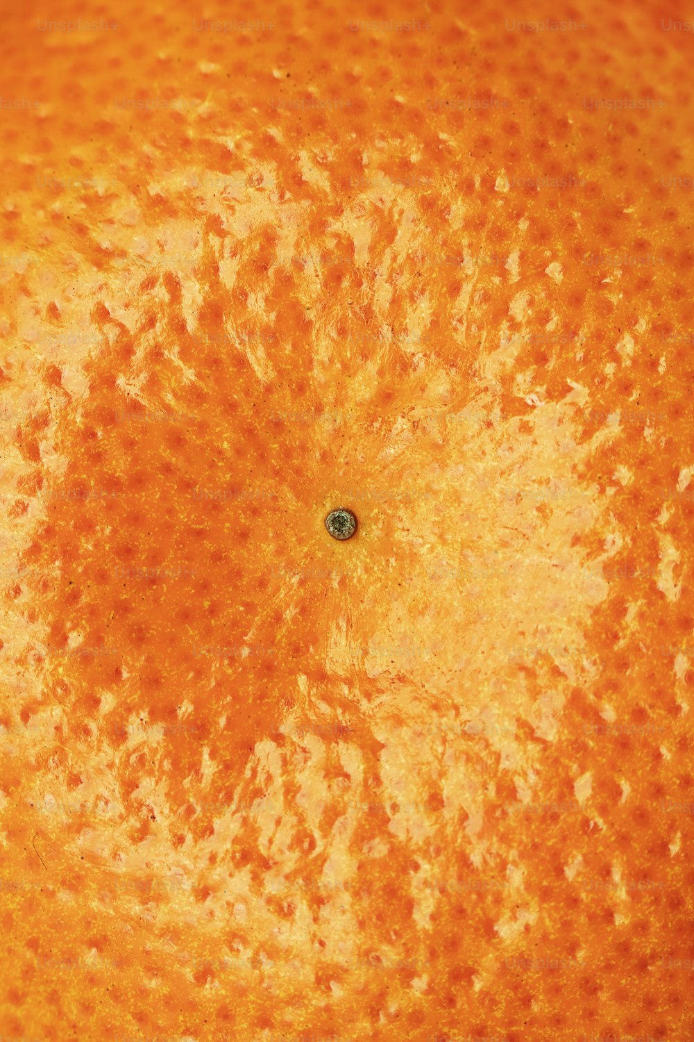 a close up of an orange with a black spot in the center