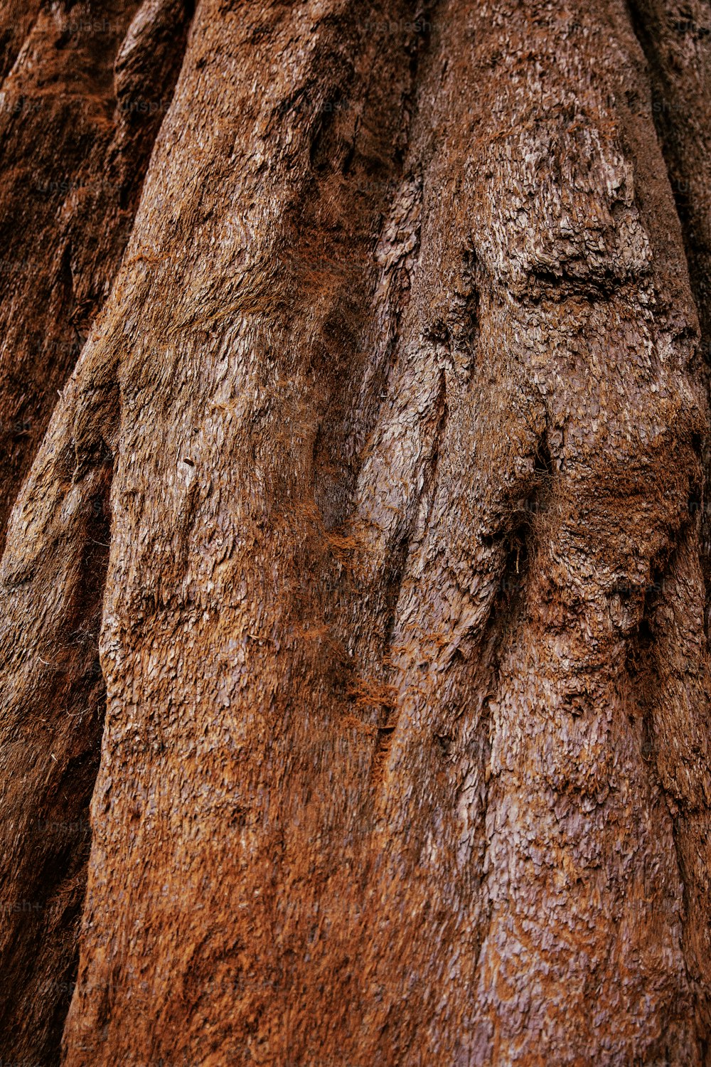 a close up of a tree trunk with a bird perched on top of it