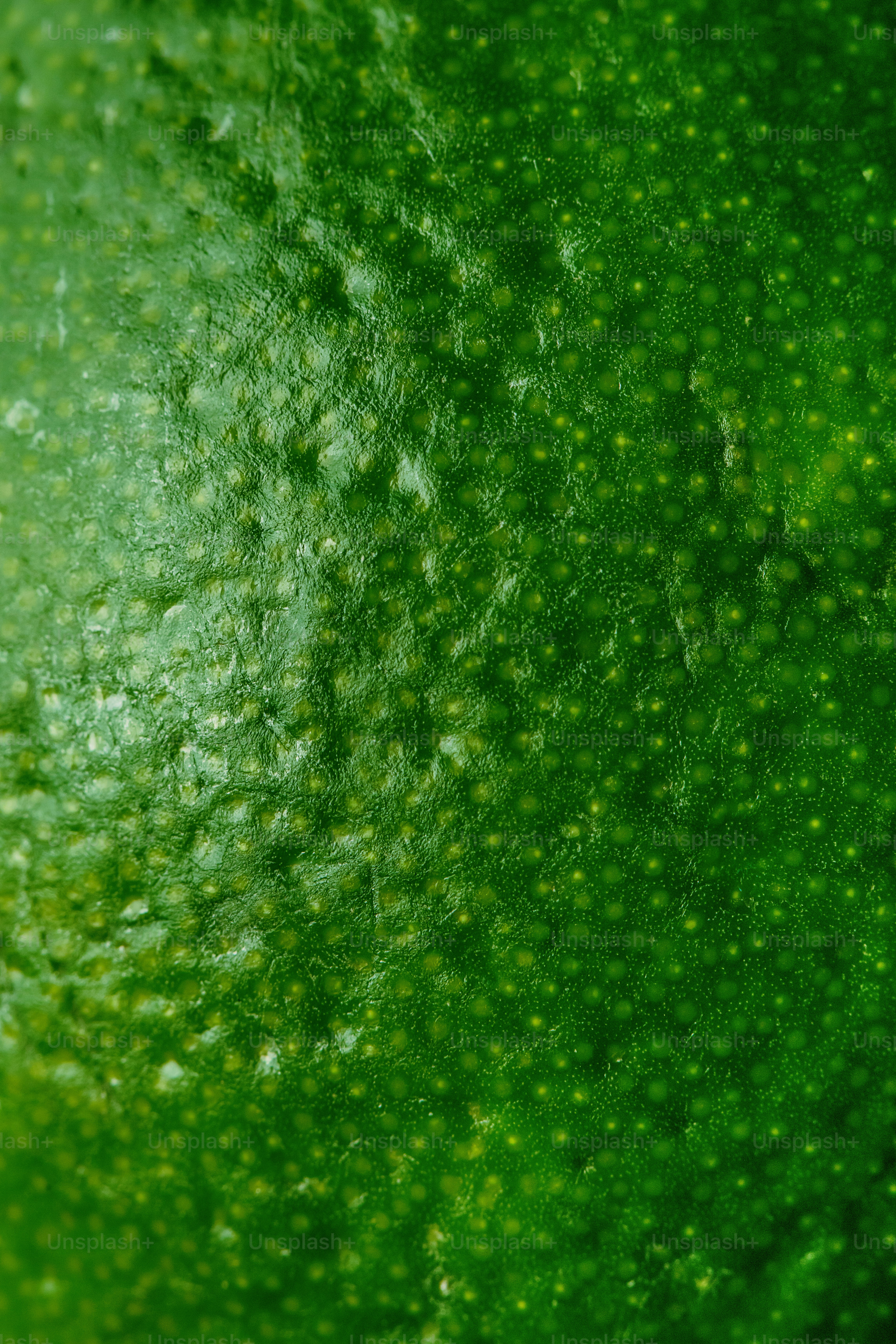 una vista ravvicinata di una sostanza verde