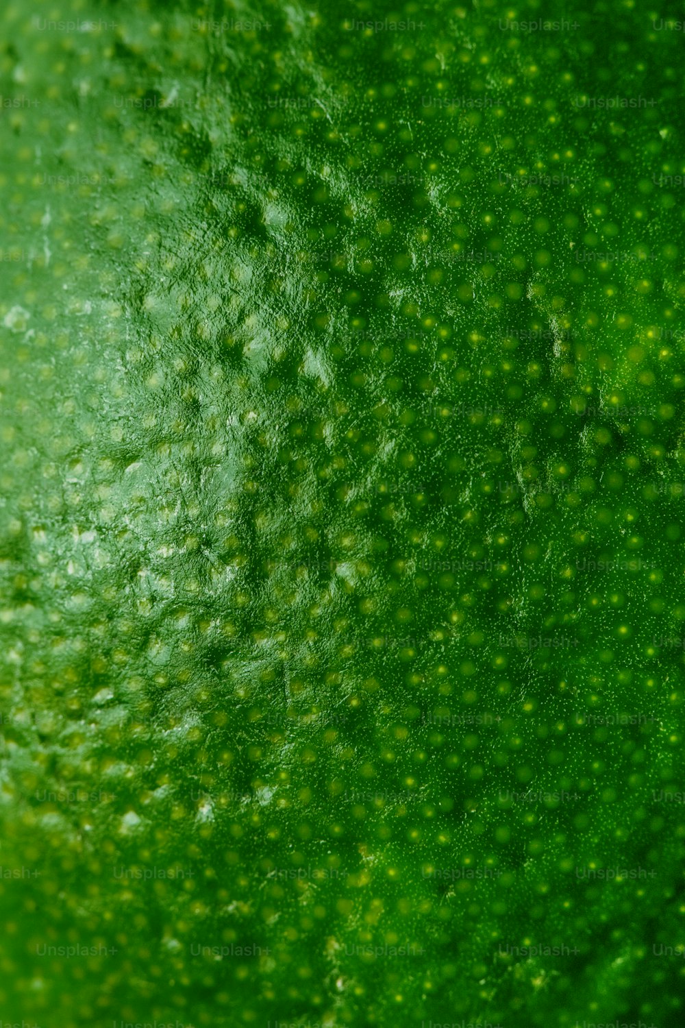una vista ravvicinata di una sostanza verde