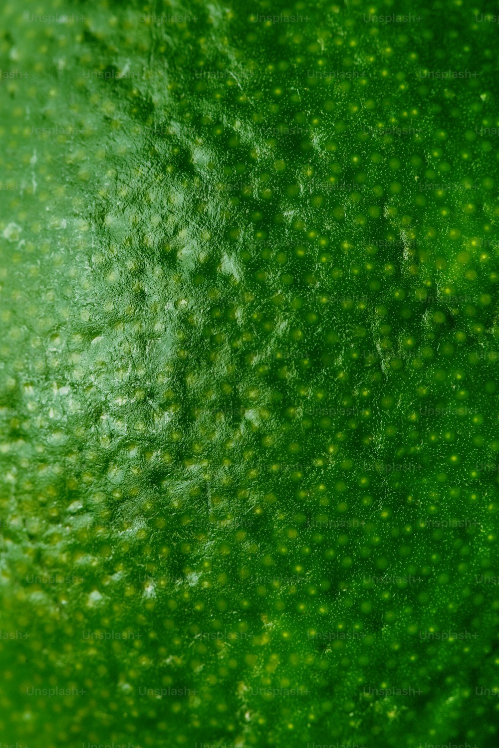 a close up view of a green substance