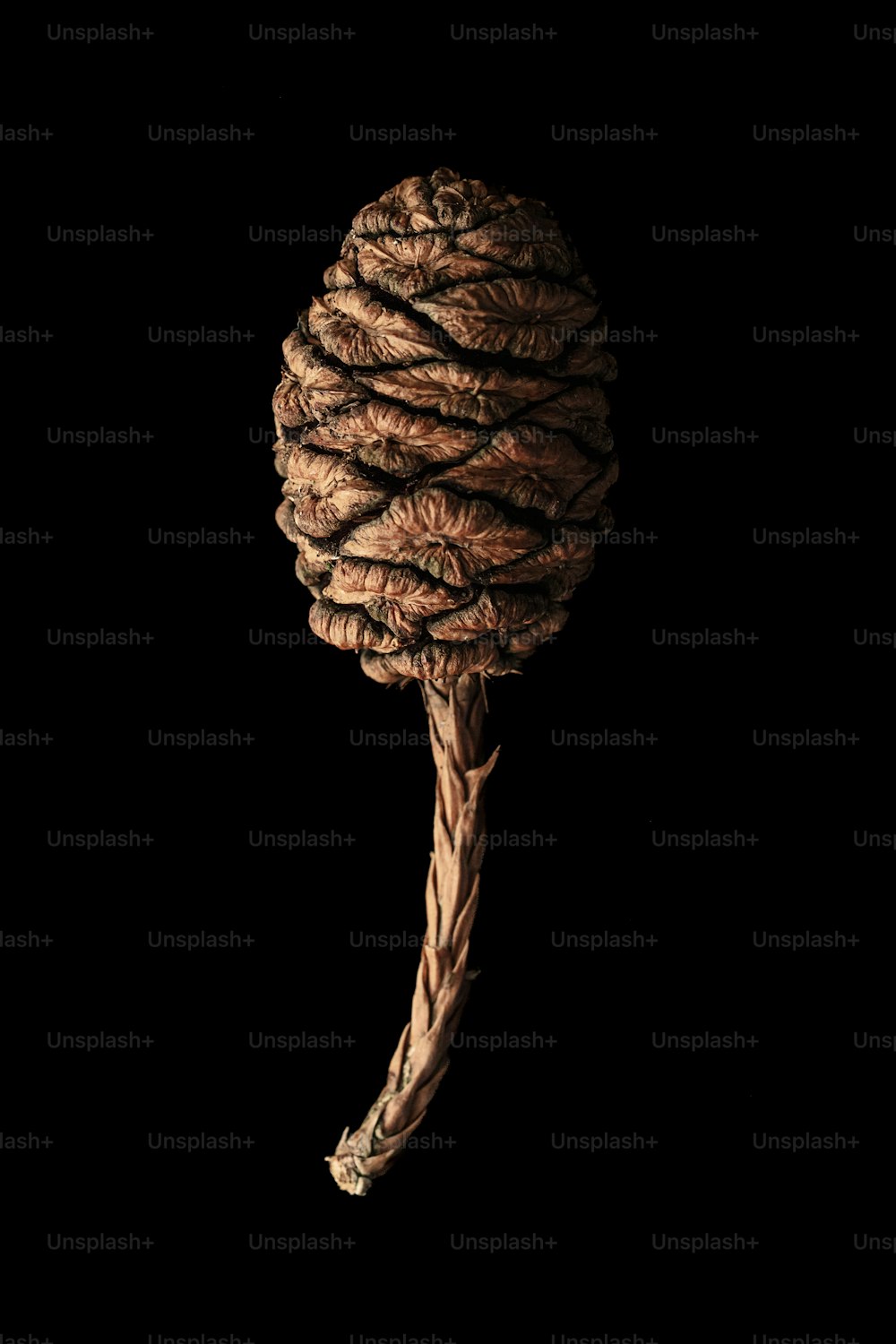a rope wrapped around a knot on a black background