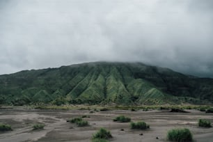 a large green mountain covered in clouds in the distance