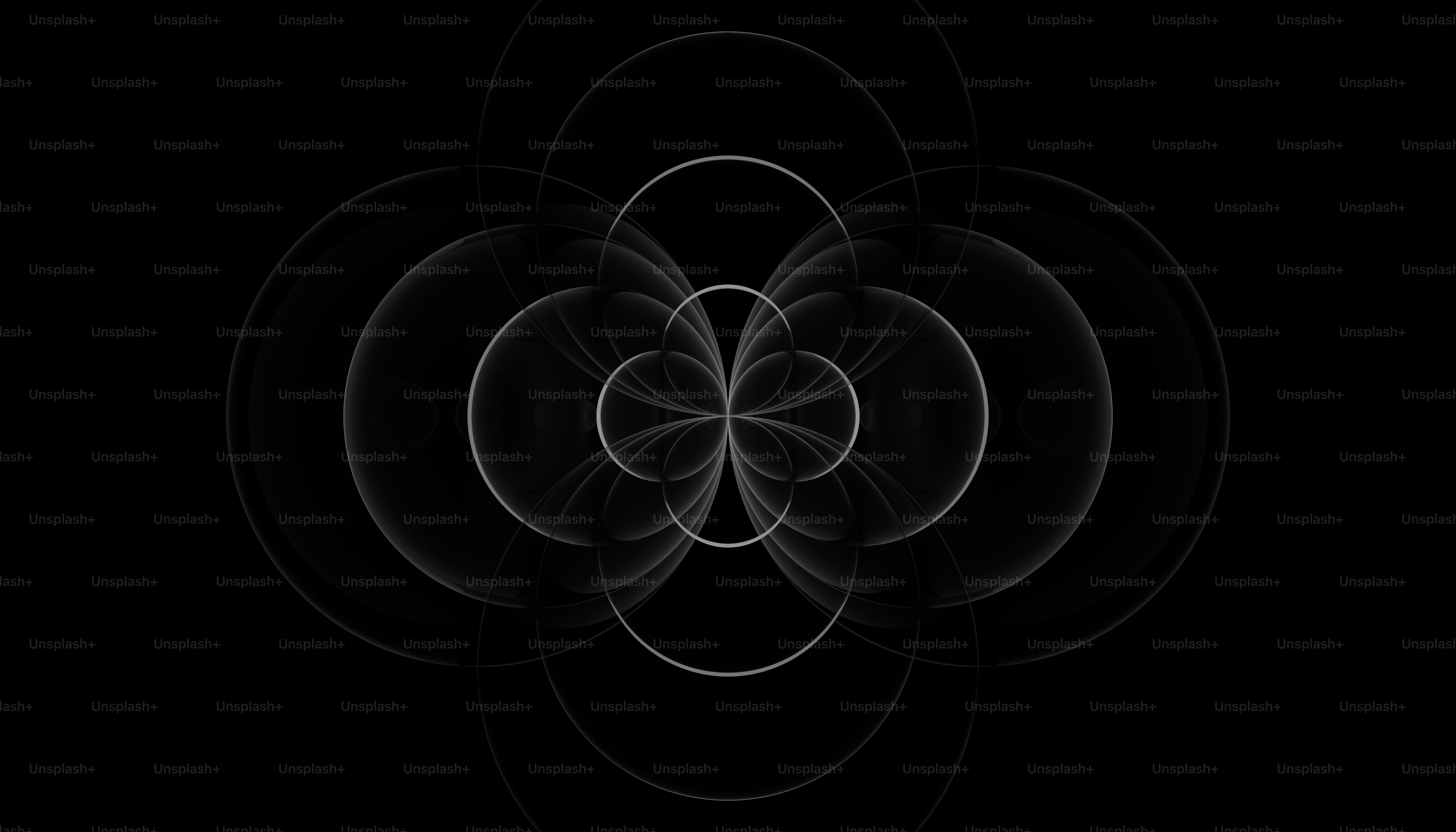 a black and white photo of a flower