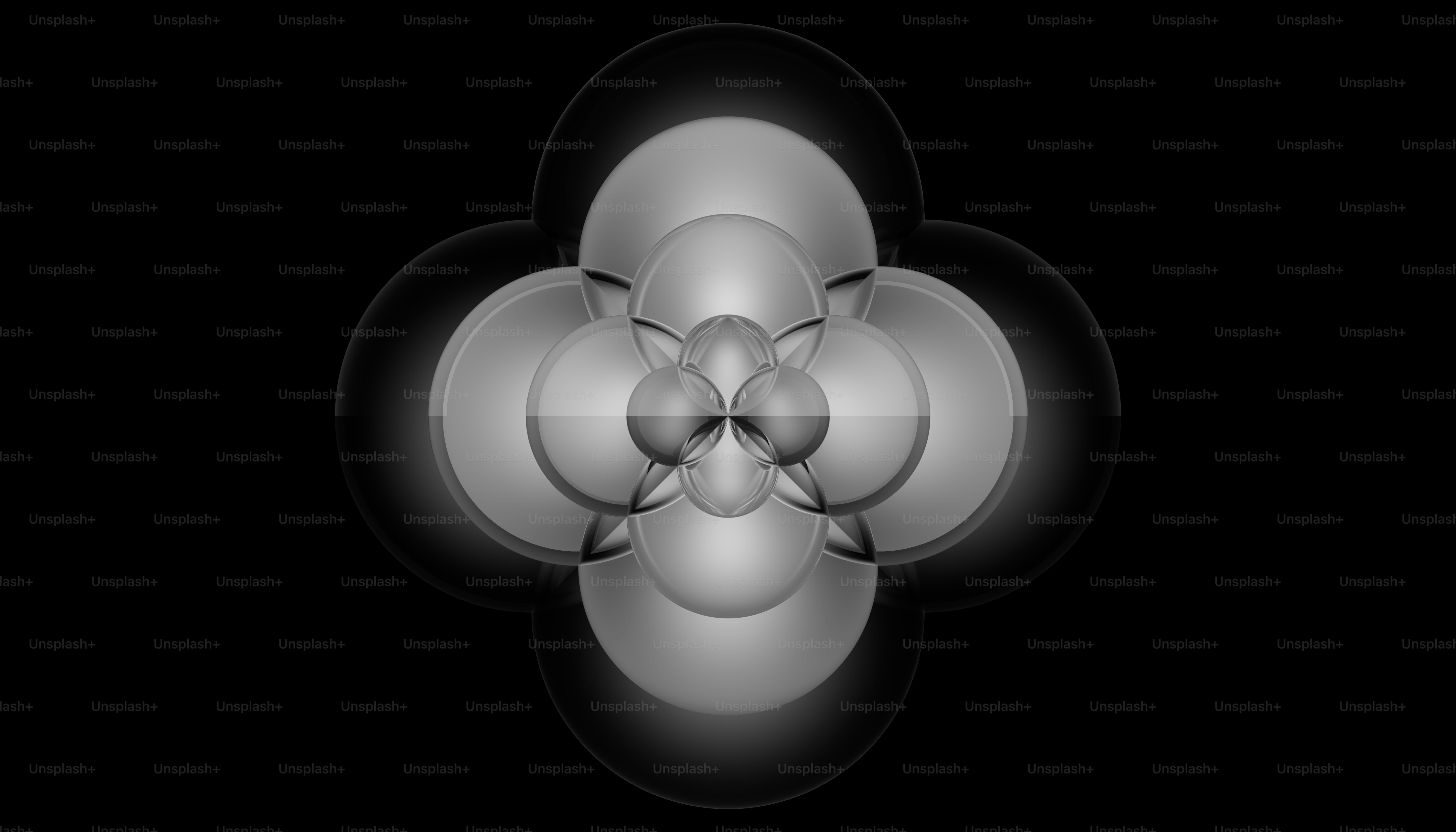a black and white photo of a flower