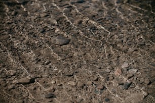 a close up of rocks and dirt on the ground