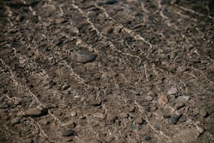 Un primer plano de rocas y tierra en el suelo