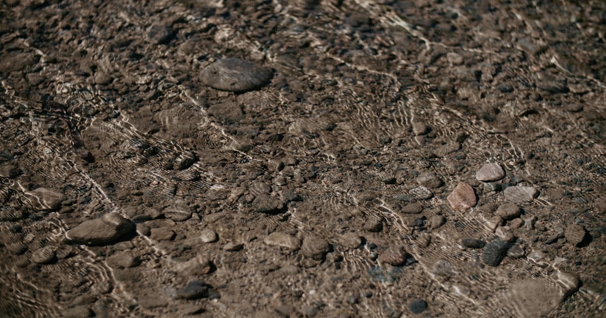 A close up of rocks and dirt on the ground photo โ Screensaver Image on ...