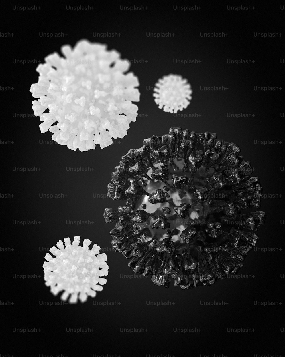 White and black printer paper photo – Free Coronavirus Image on Unsplash