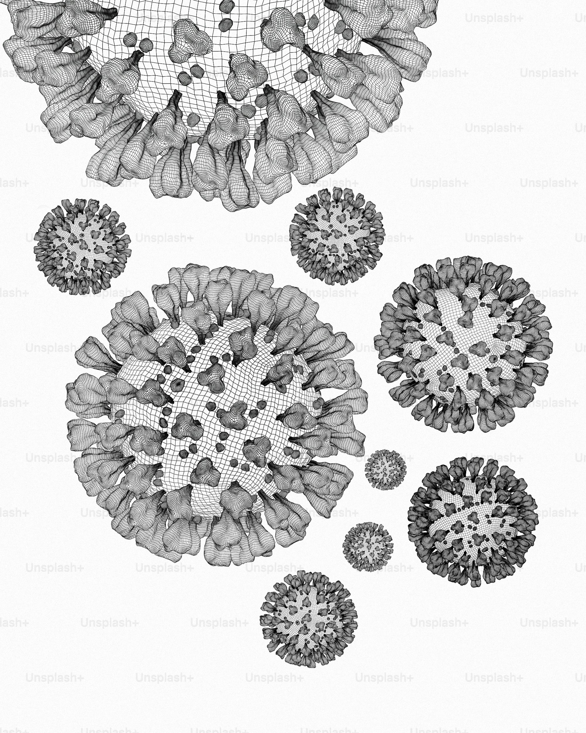 a black and white drawing of a bunch of flowers