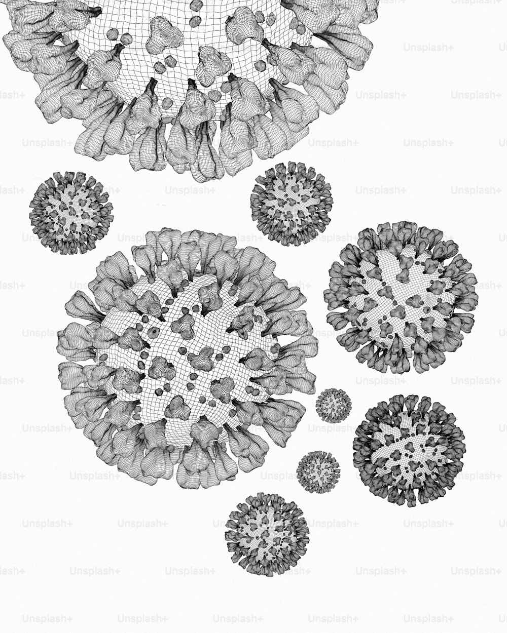 a black and white drawing of a bunch of flowers