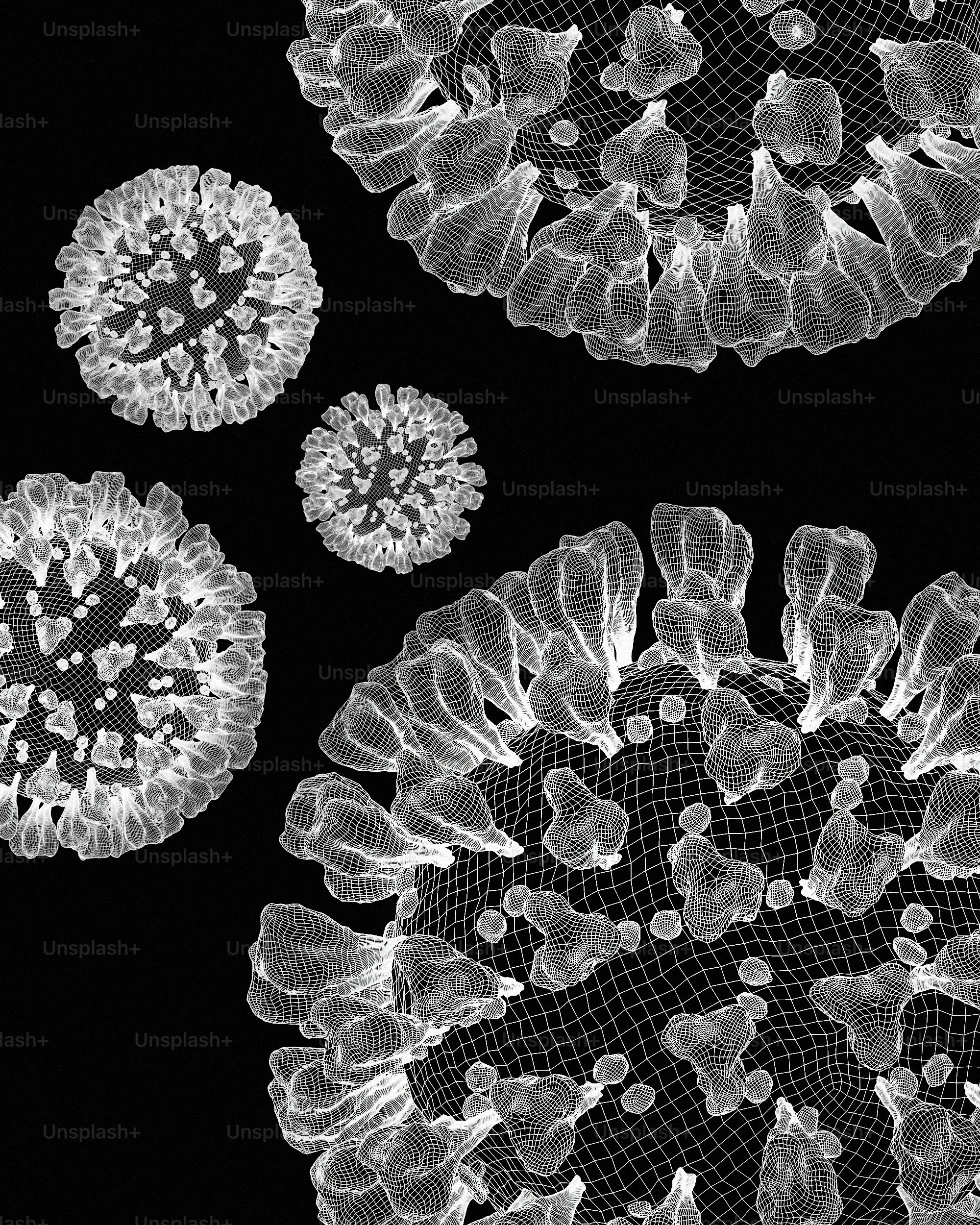 Une photo en noir et blanc d’un doily en dentelle