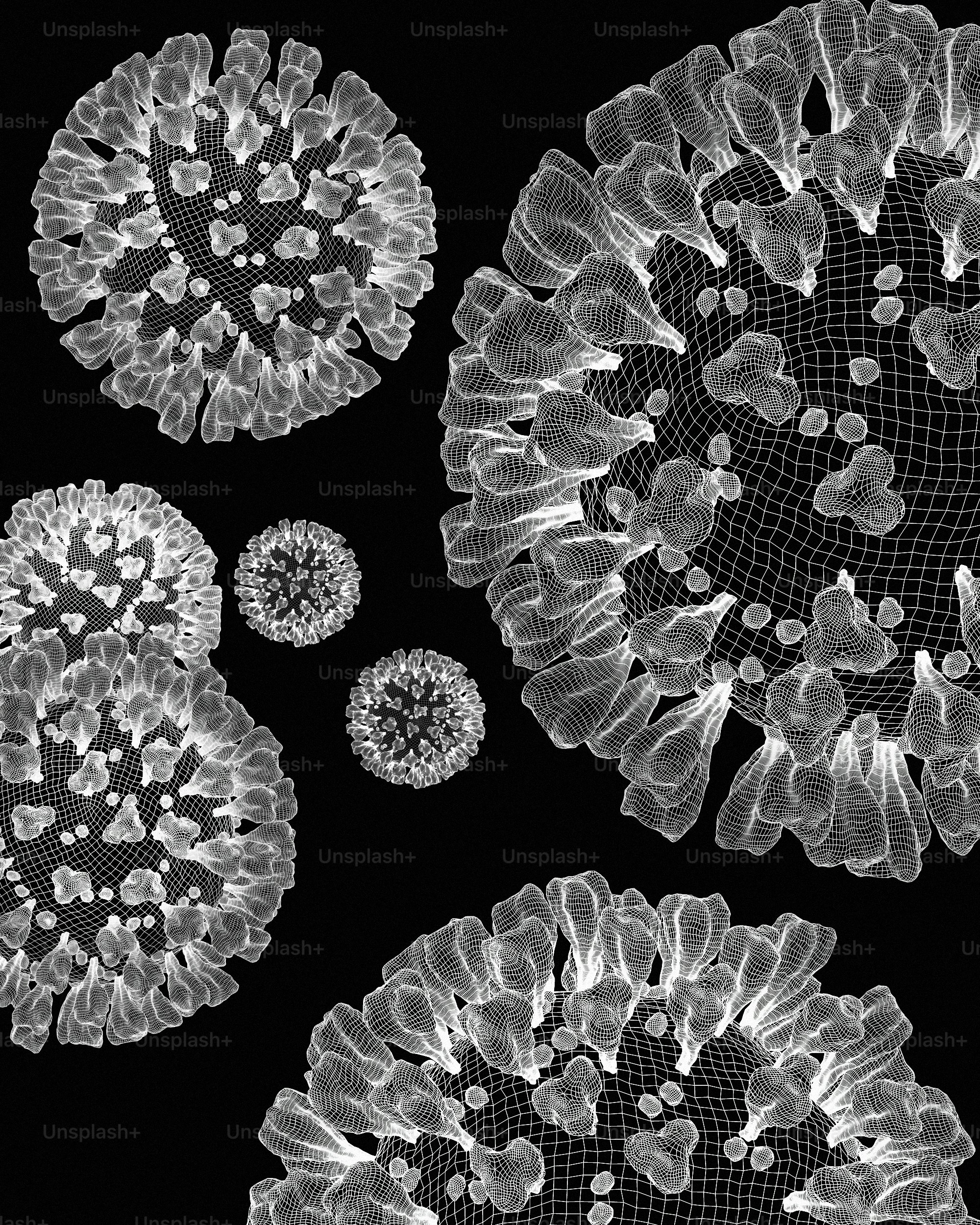 Aesculapian : COVID-19 | Unsplash+ Production Item #UNA-1.026 | RSDB