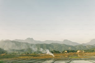 a rice field with mountains in the background