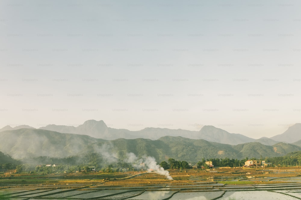 a rice field with mountains in the background