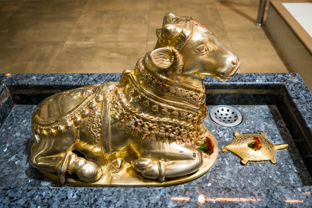 a golden dog statue sitting on top of a marble counter