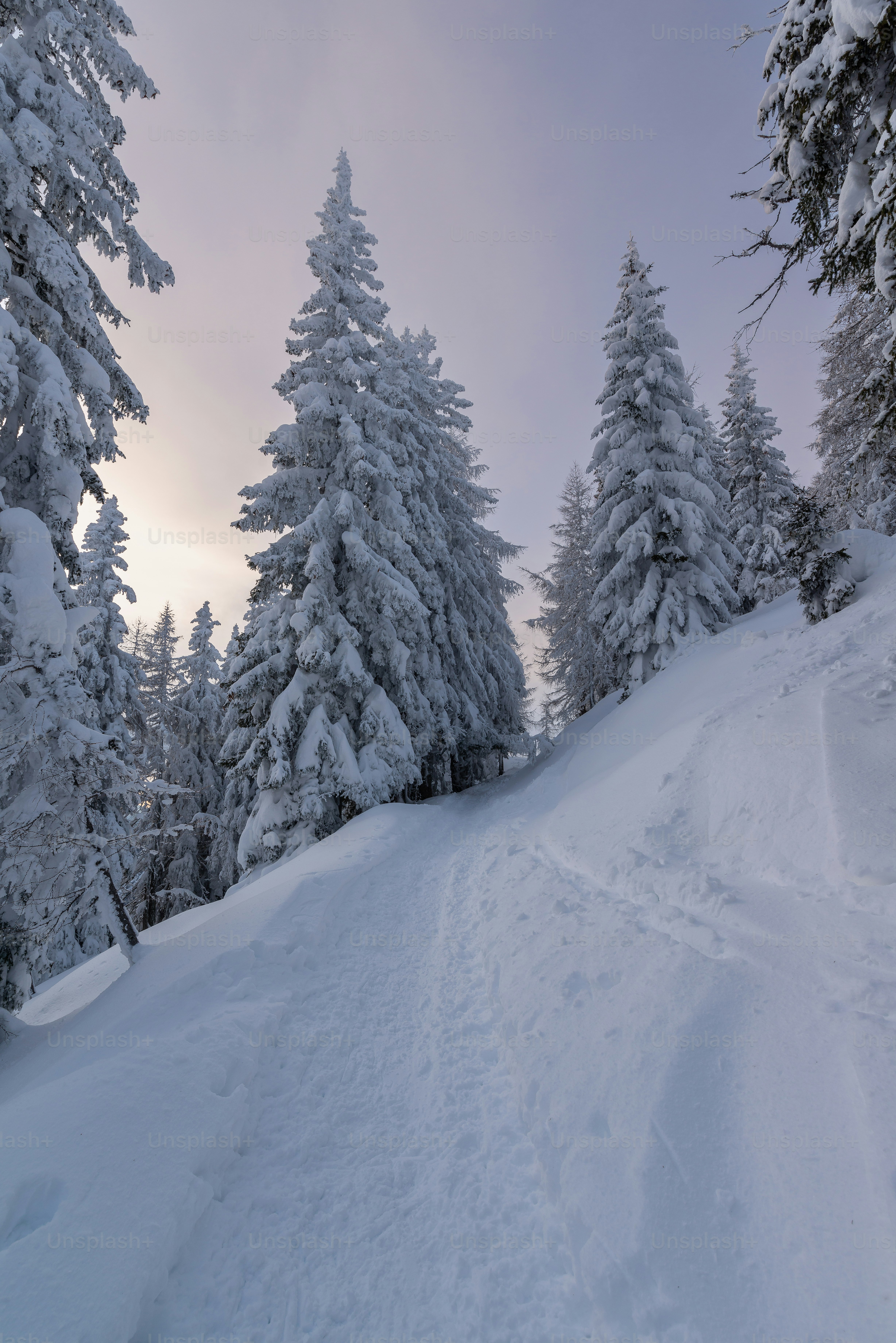 a person riding skis down a snow covered slope