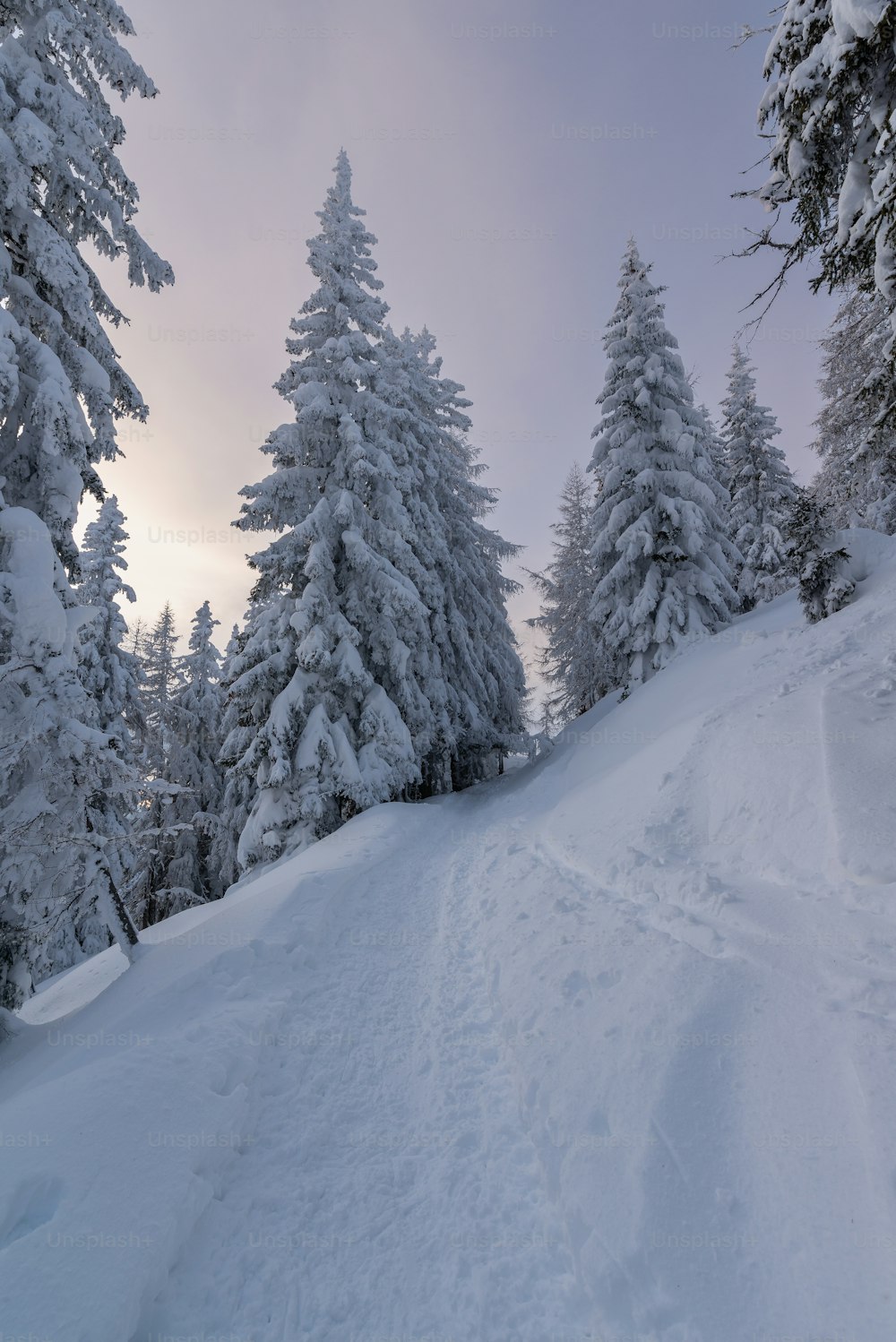 a person riding skis down a snow covered slope