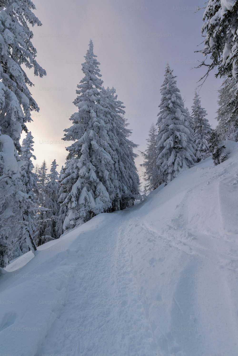 Una persona montando esquís por una pendiente cubierta de nieve
