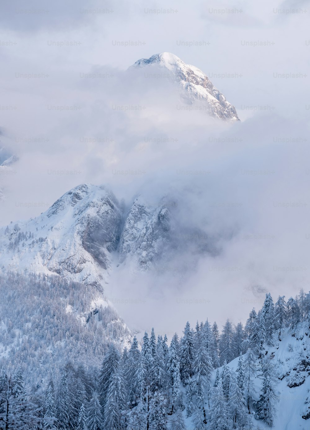 Una montaña cubierta de nieve rodeada de árboles