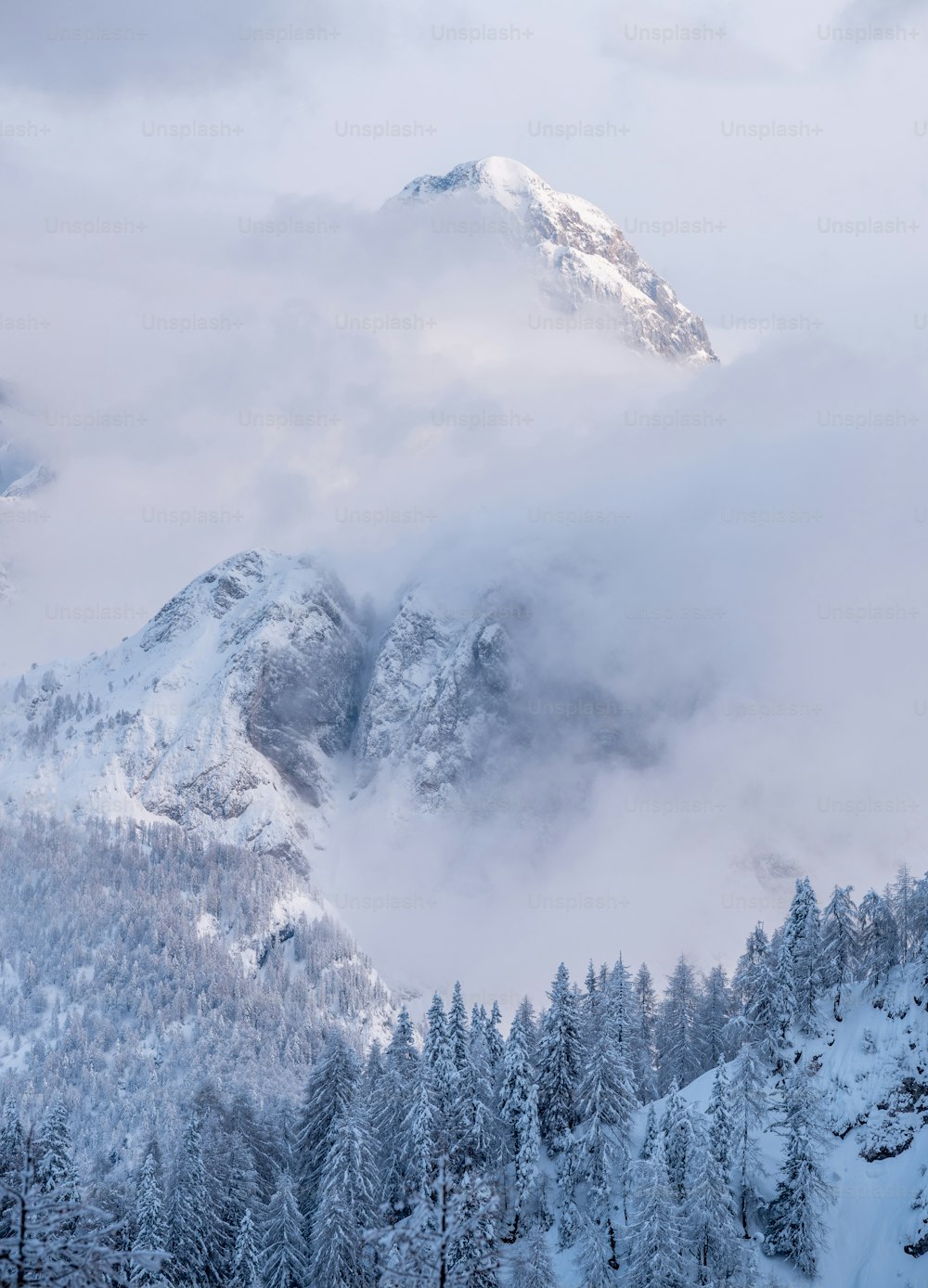 a mountain covered in snow surrounded by trees