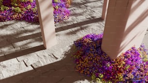 a bunch of flowers that are on the ground