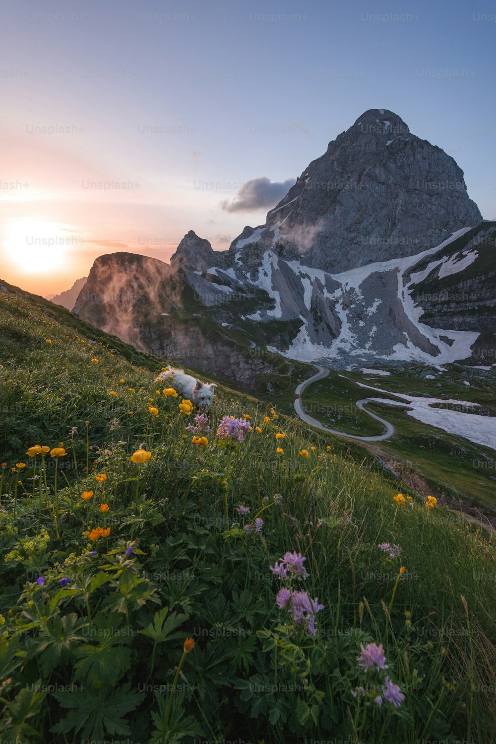 the sun is setting over a mountain with wildflowers in the foreground