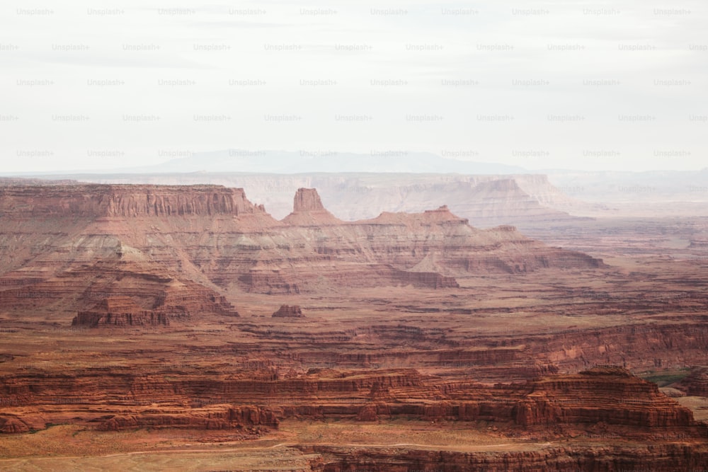 Una vista panoramica dei Grand Canyon nel deserto