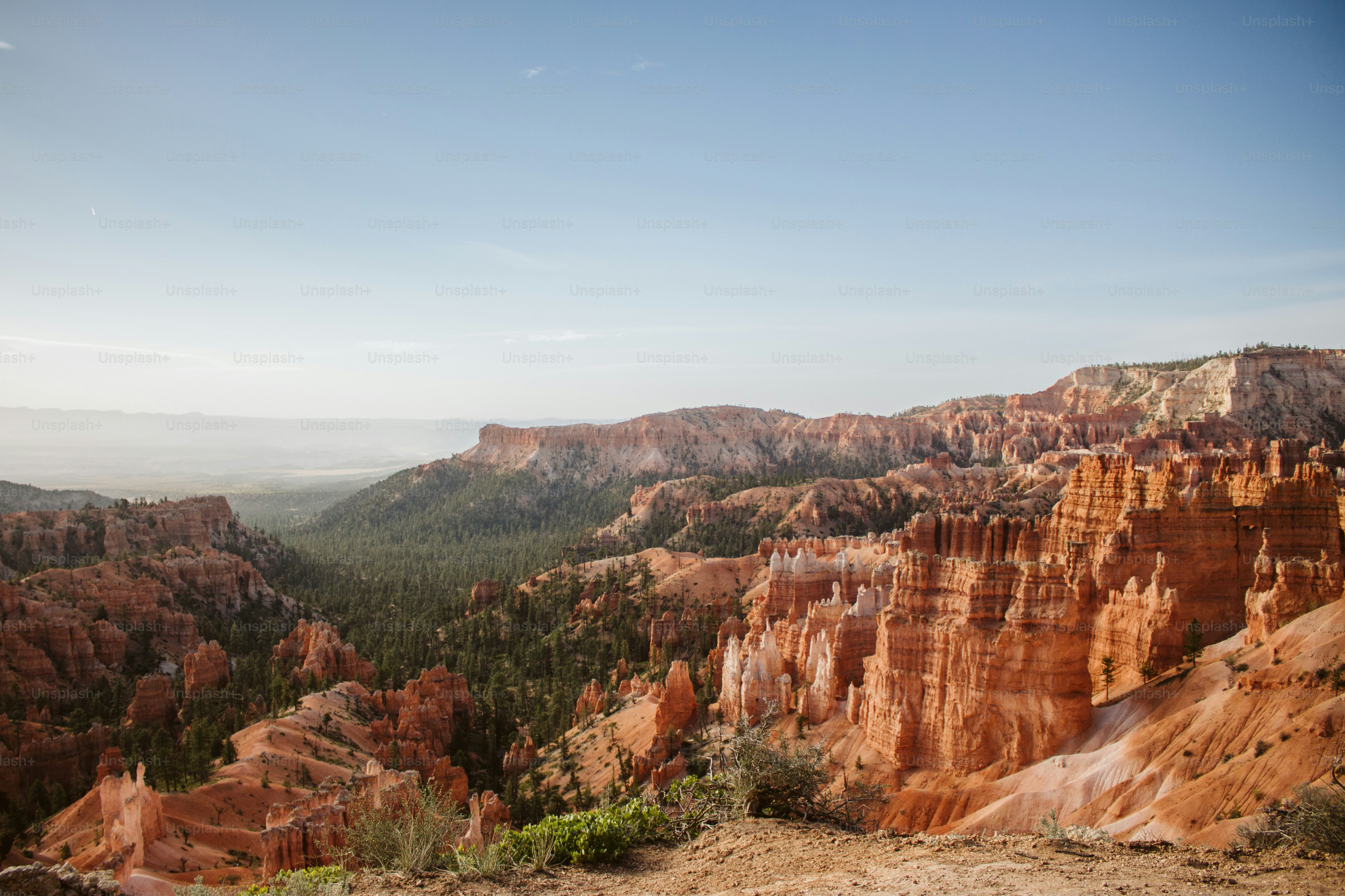 a scenic view of the mountains and trees