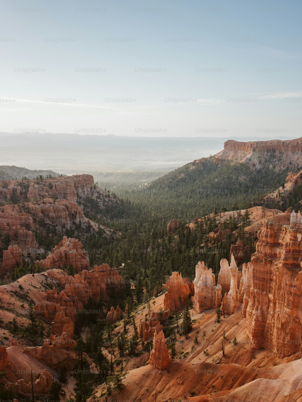 a scenic view of the mountains and trees