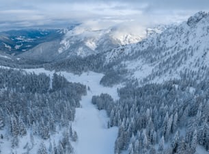 나무와 스키장이 있는 눈 덮인 산
