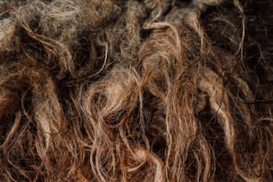 Un primer plano de un montón de cabello castaño