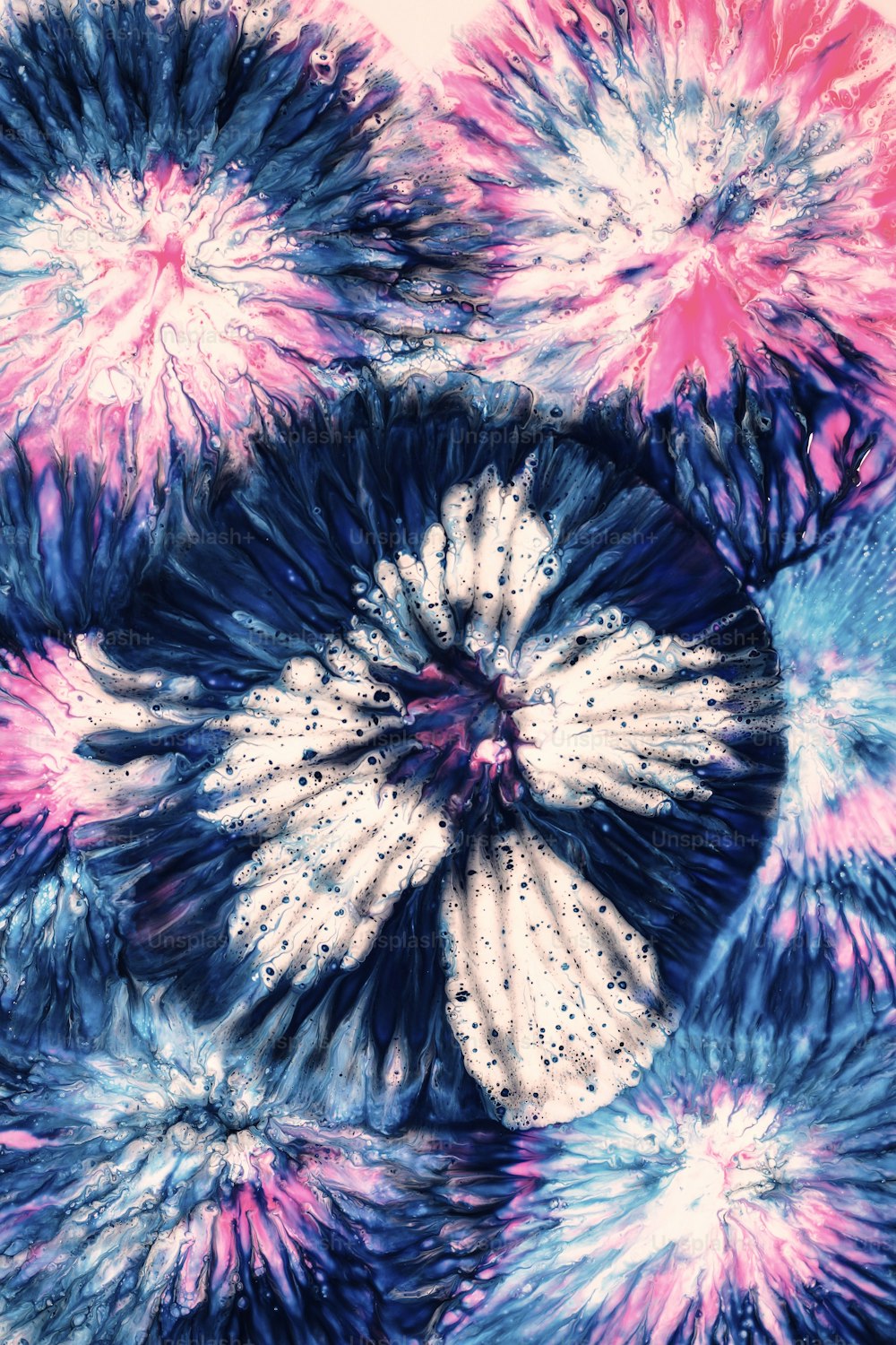 um close up de um monte de flores de cores diferentes