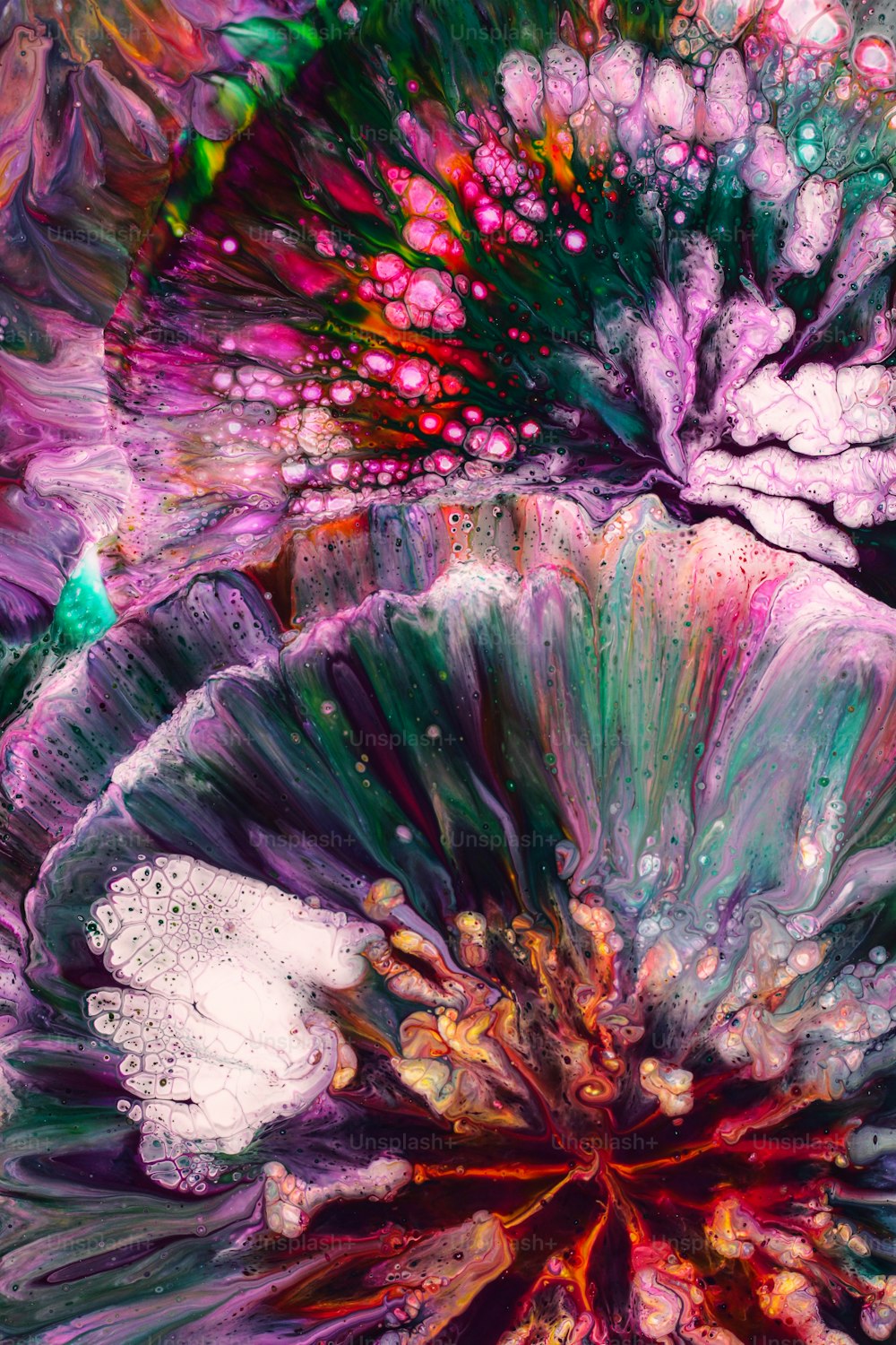 a close up of a flower with many colors