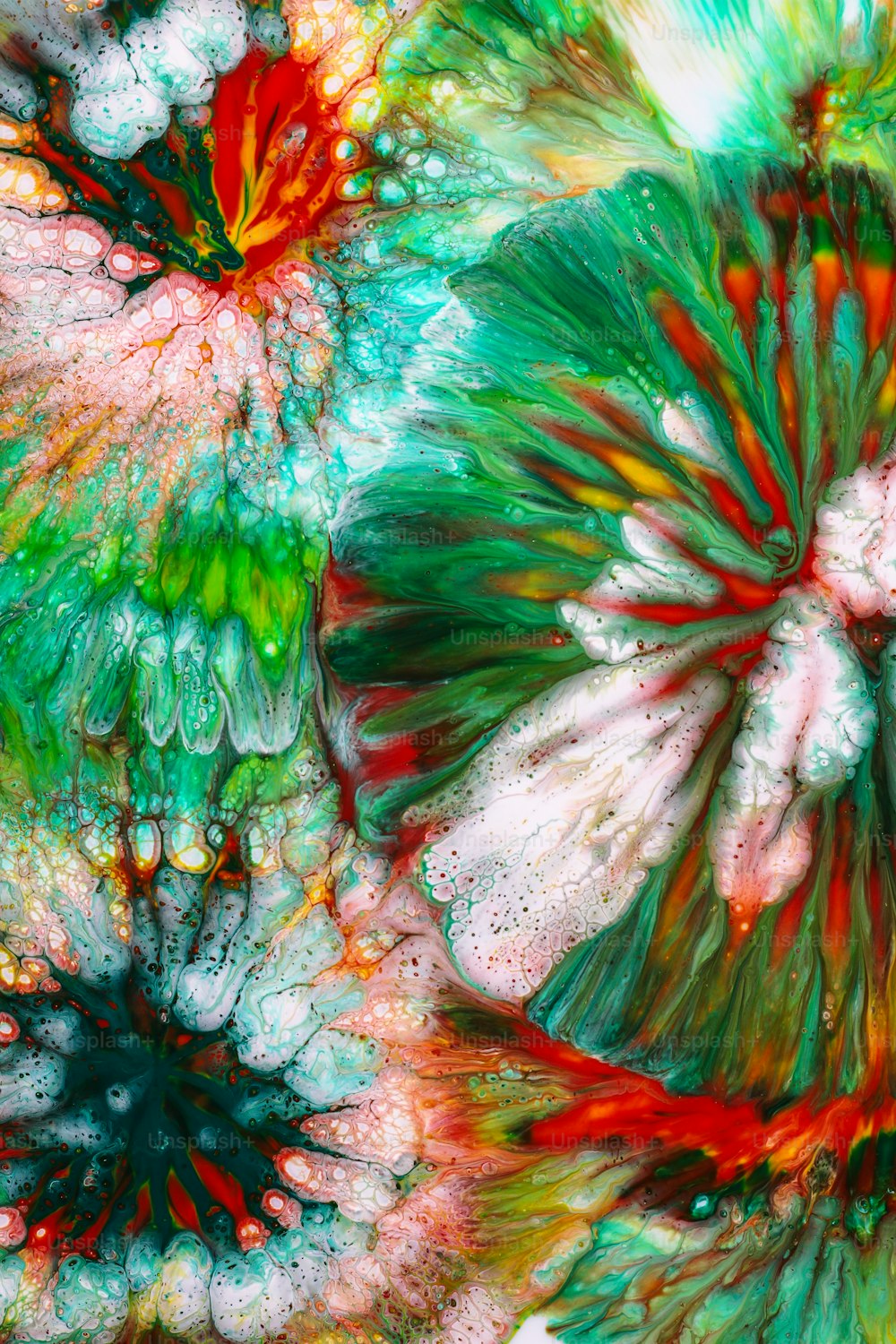 a close up view of a multicolored flower
